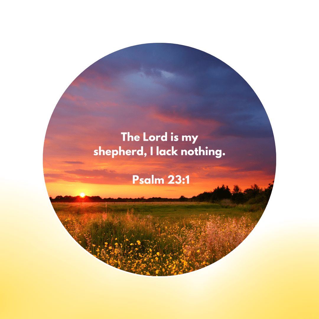 12 Additional Scripture Galaxy Discs For Bible Projector (Limited Collection)