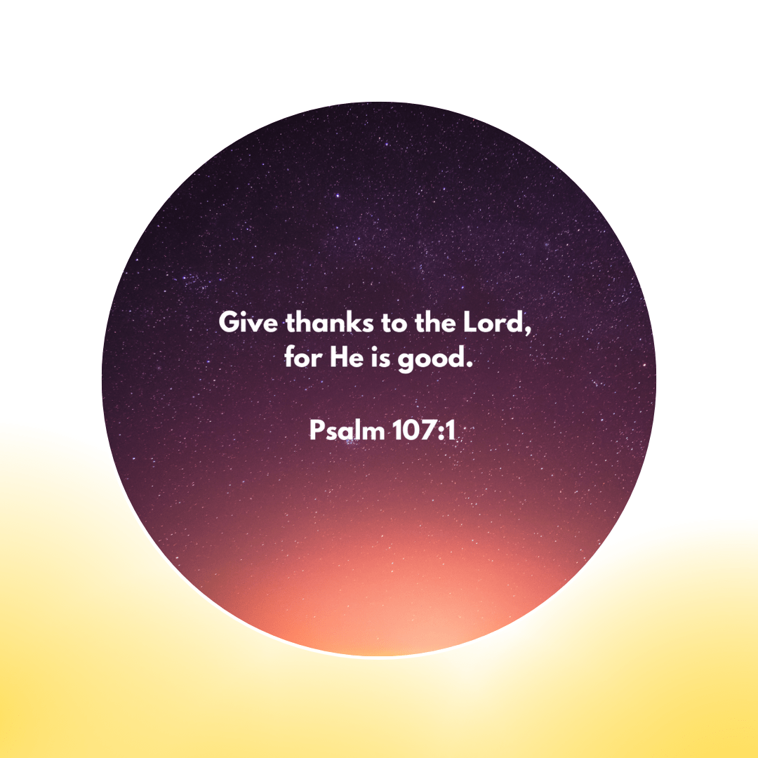 12 Additional Scripture Galaxy Discs For Bible Projector (Limited Collection)