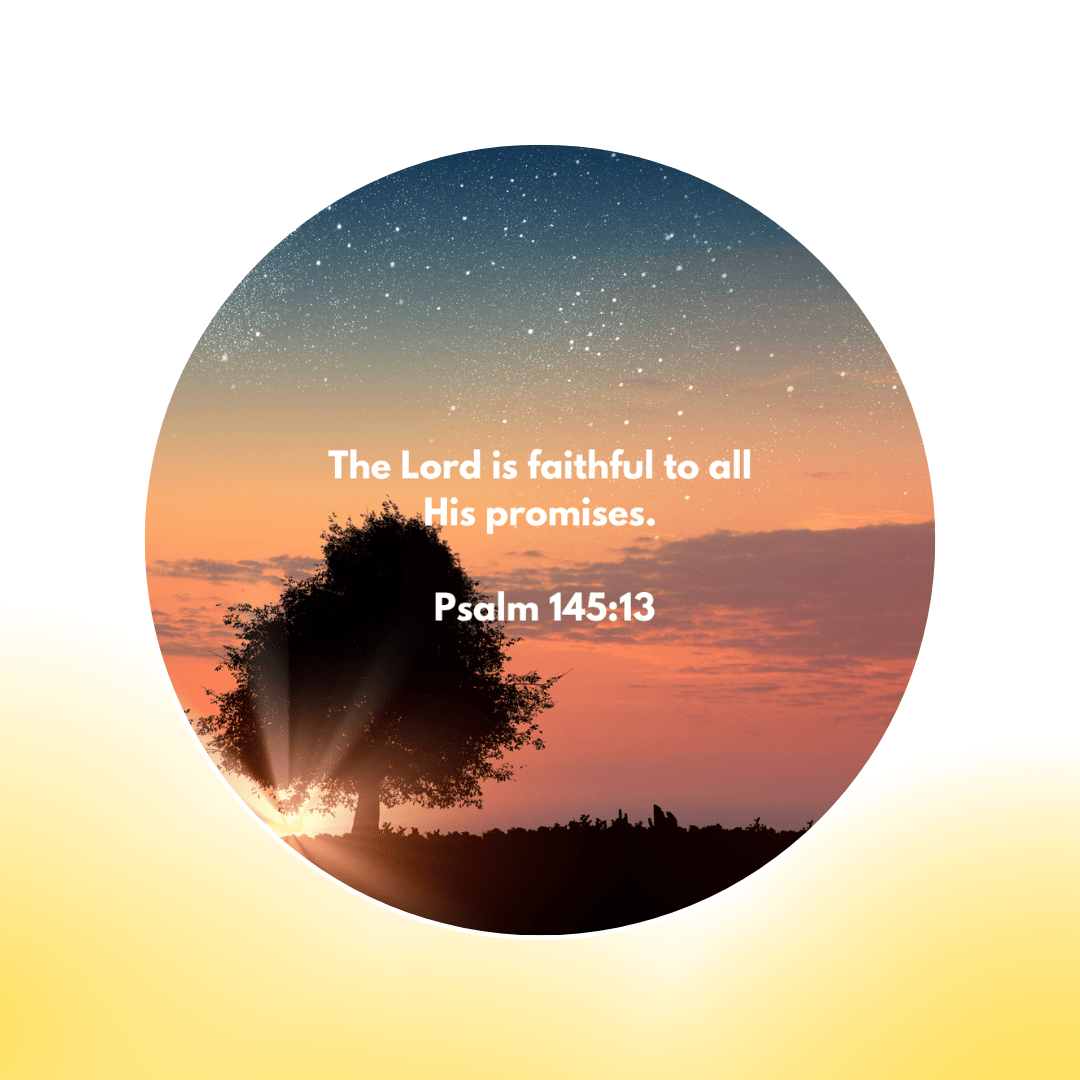 12 Additional Scripture Galaxy Discs For Bible Projector (Limited Collection)