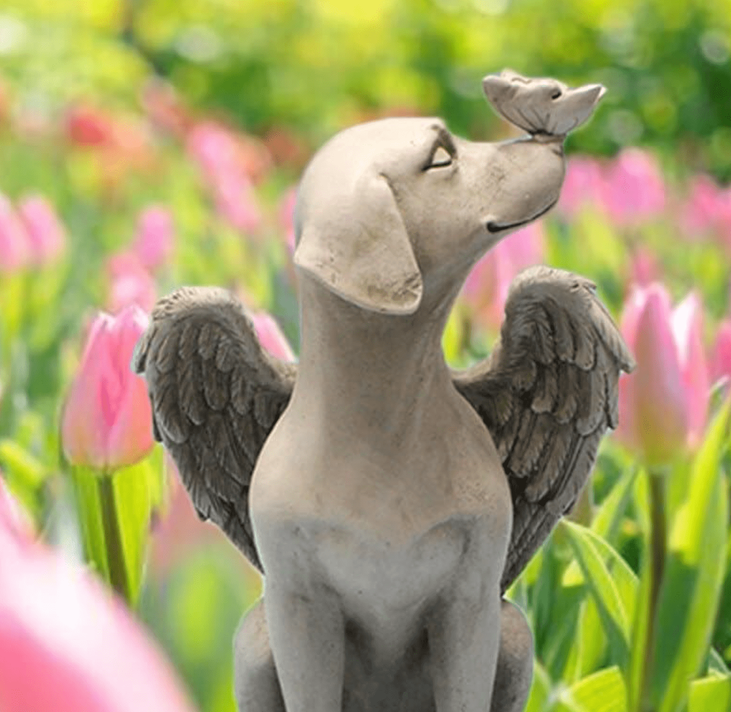 Angel Dog - Outdoor Statue | Handcrafted by Godisabove™